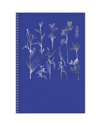 Тетрадь для конспектов "Total Blue. Дизайн 2", А4, 48 листов, линия