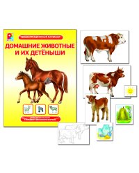 Демонстрационный материал "Домашние живот и их детёныши"