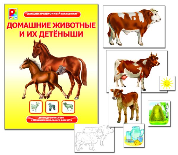 Демонстрационный материал "Домашние живот и их детёныши"