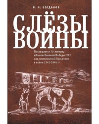 Слезы войны. Посвящается 70-летнему юбилею Великой победы СССР над гитлеровской Германией в войне 1941-1945 гг.