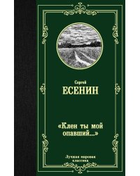 "Клен ты мой опавший..."