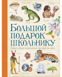 Большой подарок школьнику