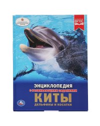 Киты. Дельфины и косатки
