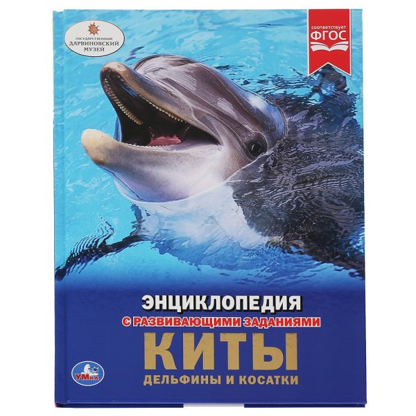 Киты. Дельфины и косатки