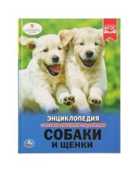 Собаки и щенки