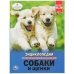 Обложка книги «Собаки и щенки», ISBN 9785506032960