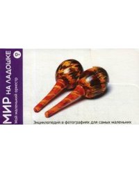 Мой маленький оркестр. 24 карточки. Энциклопедия в фотографиях для самых маленьких. Выпуск 5