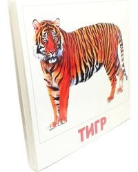 Набор карточек. Дикие животные