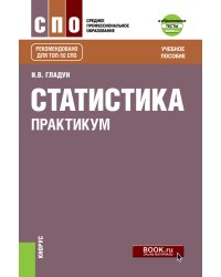 Статистика. Практикум. Учебное посоибие + еПриложение: Тесты