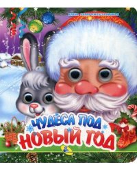 Чудеса под Новый год