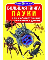 Большая книга. Пауки. Для любознательных мальчиков и девочек