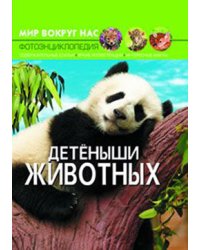 Мир вокруг нас. Детёныши животных