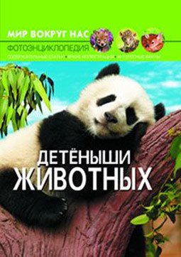 Мир вокруг нас. Детёныши животных