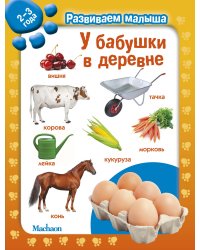 У бабушки в деревне. 2-3 года
