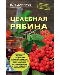 Целебная рябина