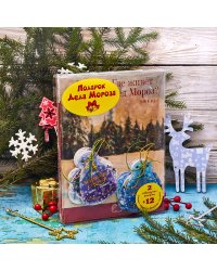 Подарок Деда Мороза. 2 новогодние книжки и 12 ёлочных игрушек с весёлыми стихами (количество томов: 2)