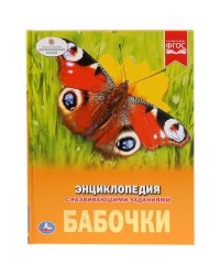 Бабочки