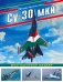Су-30 МКИ. Многоцелевой шедевр