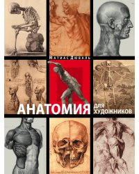 Анатомия для художников