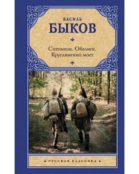 Сотников. Обелиск. Круглянский мост