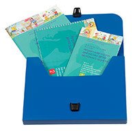 Нейропсихологическая диагностика детей дошкольного возраста (портфель)