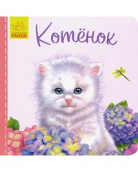 Милые зверята. Котёнок