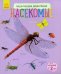 Обложка книги «Энциклопедия дошкольника. Насекомые» — Каспарова Юлия Вадимовна