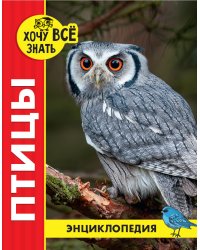 Птицы