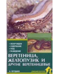 Веретеница, желтопузик и другие веретеницевые. Обзор видов. Содержание. Уход. Разведение