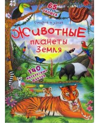 Открой и узнай. Животные планеты Земля. 140 интересных фактов. 65 окошек