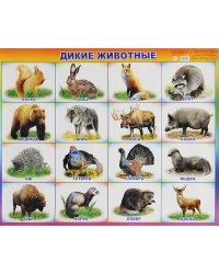 Плакат "Дикие животные", 53х45 см