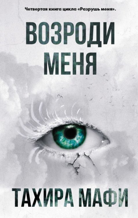 Разрушенный мир Возроди меня