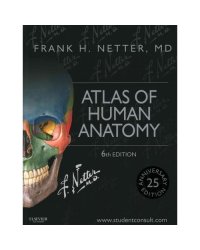 Atlas of Human Anatomy and Gray's Anatomy for Students Package