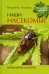 Обложка книги «Наши насекомые. Определитель для детей» — Полевод В., ISBN 9785906811790