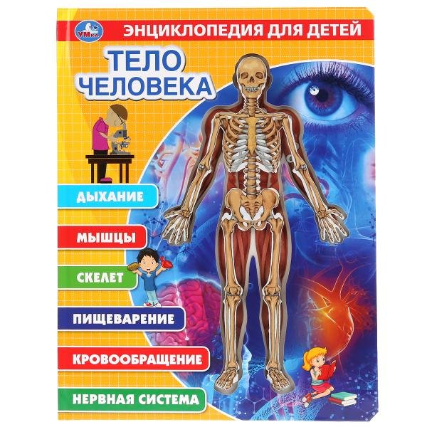 Тело человека. Энциклопедия