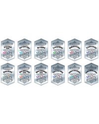 Предметные наклейки для тетрадей, набор 12 штук, в ПЭТ-пакете, для 5-6 класса