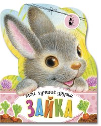 Зайка