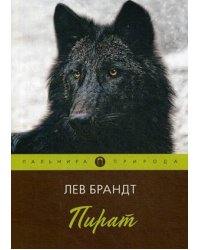 Пират