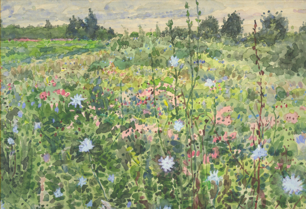 Скетчбук. Цветочная поляна (В5, рисовальная желтая бумага, тканевый корешок)