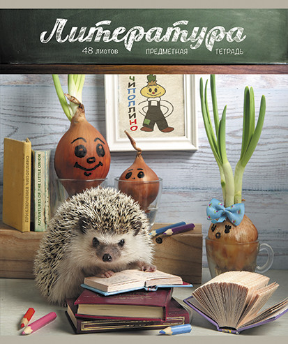 Тетрадь предметная. Тайная жизнь ежей. Литература, 48 листов