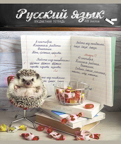Тетрадь "Тайная жизнь ежей. Русский язык", 48 листов