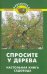 Обложка книги «Спросите у дерева. Настольная книга садовода» — Бурова В.В., ISBN 9785222163658