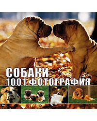 Собаки. 1001 фотография