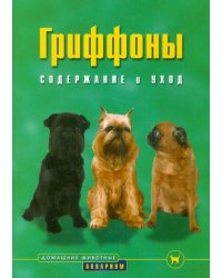 Гриффоны. Содержание и уход