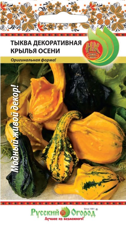 Семена. Тыква декоративная "Крылья осени" (8 штук)