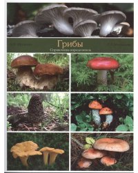 Грибы. Справочник-определитель