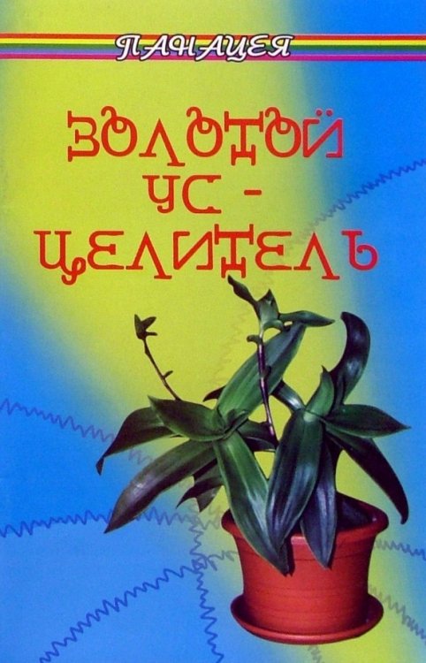 Золотой ус - целитель