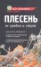 Плесень. Ее грибки и споры