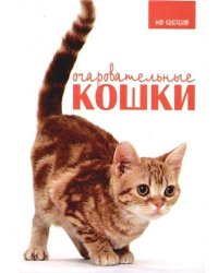 Очаровательные кошки
