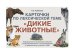 Карточки по лексической теме "Дикие животные". Упражнения по развитию навыков словообразования, словоизменения и связной речи у детей с ОНР
